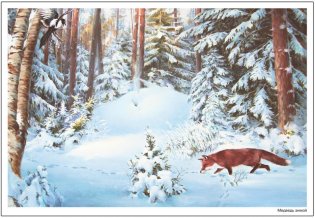 Картины из жизни диких животных. Наглядно-дидактическое пособие. 3-7 лет. ФГОС фото книги 2