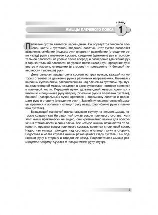 Анатомия бодибилдинга фото книги 5