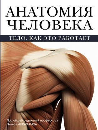 Анатомия человека фото книги