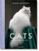 Walter Chandoha. Cats. Photographs 1942-2018 фото книги маленькое 2