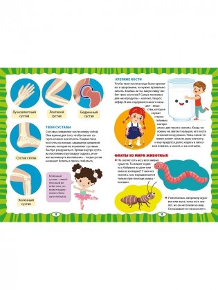 Как устроен человек. Первая энциклопедия для малышей фото книги 6