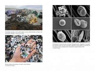 Удивительное зарождение Земли: Путешествие по скрытым чудесам, которые дали жизнь нашей планете фото книги 7