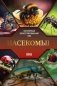Насекомые. Иллюстрированный гид фото книги маленькое 2