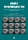 Атлас эмбриологии. Последовательные покадровые изображения фото книги маленькое 2
