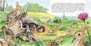 Приключения зайчонка фото книги 2