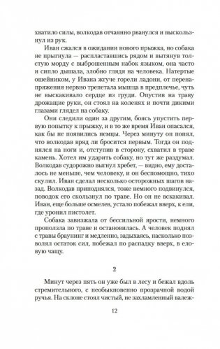 Альпийская баллада фото книги 11