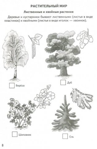 Знакомимся с окружающим миром. Рабочая тетрадь. Для детей 5-6 лет фото книги 6