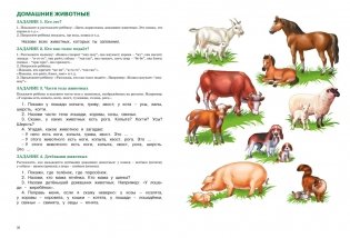 Развитие речи. Уроки с логопедом фото книги 5