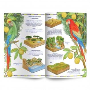 Первый атлас для детей. Животные мира фото книги 3