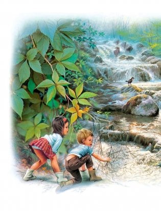 Приключения Сони и Вани фото книги 11