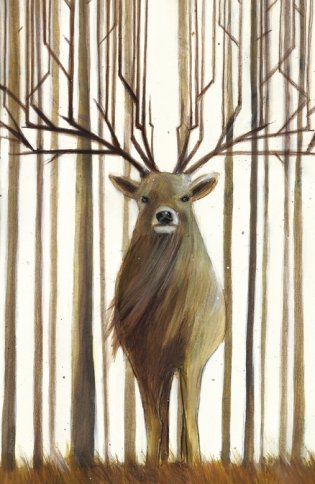 Диковинные животные фото книги 2