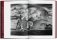 Sebastiao Salgado. Genesis фото книги маленькое 4