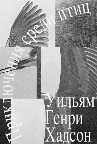 Приключение среди птиц фото книги