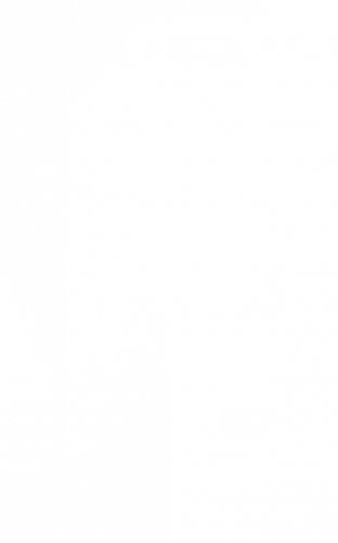 "Крысиный остров" и другие истории фото книги 7