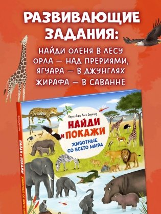 Найди и покажи. Животные со всего мира фото книги 6