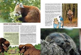 Зоопарк исчезнувших животных. Том 2 фото книги 5