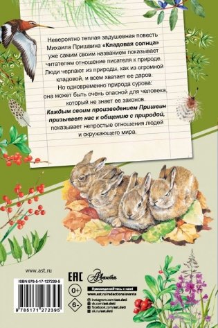 Кладовая солнца фото книги 2