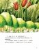 Крошка Букашка всем помогает! Сказки про дружбу. Книга для первого чтения фото книги маленькое 10