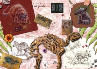 Ида. Взгляд из прошлого фото книги 4