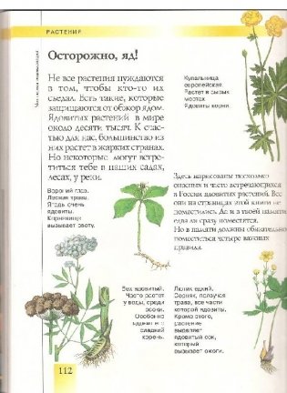 Моя первая энциклопедия фото книги 5