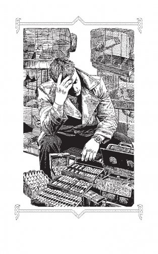 Узор судьбы фото книги 2