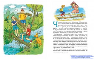 Какие бывают мосты фото книги 3