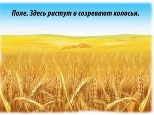 Демонстрационный материал "Хлеб-всему голова" фото книги 5