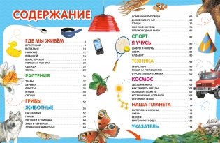 Энциклопедия в картинках для самых маленьких фото книги 4