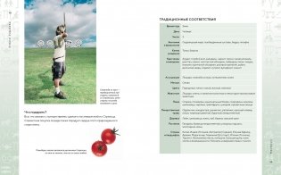 Библия астрологии. Как гармонизировать отношения с окружающими, построить успешную карьеру и улучшить здоровье фото книги 7