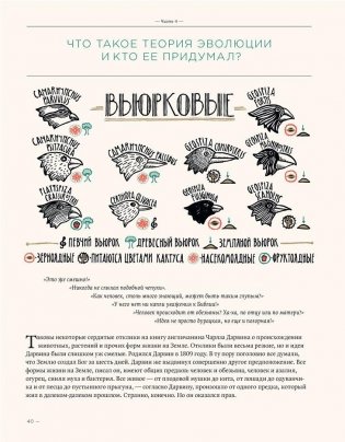 Загадка жизни и грязные носки Йоса Гротьеса из Дрила фото книги 5