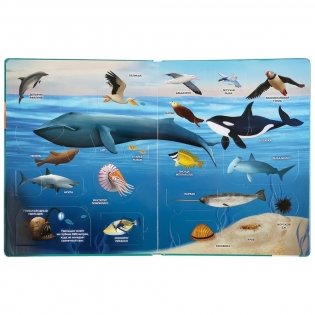 Книжка с окошками. Тайны подводного мира фото книги 2