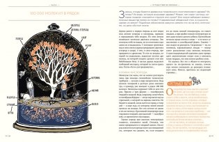 Тайна ничто и бесконечно много глупостей фото книги 7