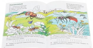 Загадки-обманки фото книги 2