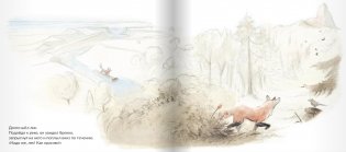 Белый лис фото книги 5