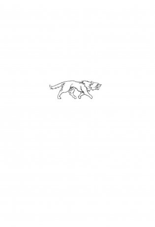 Ведьмак. Час Презрения фото книги 13