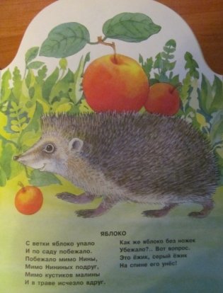 Что нам лето подарило? фото книги 4