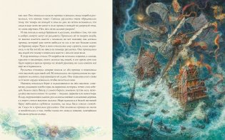Русалочка фото книги 6
