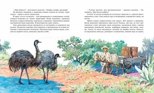 Штормик и мистер Персиваль. Рассказы фото книги 8