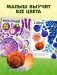 Приключения улитки Элли в мире фруктов и овощей (мягкая обложка) фото книги маленькое 5