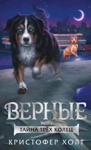 Верные. Книга 2. Тайна трёх колец фото книги