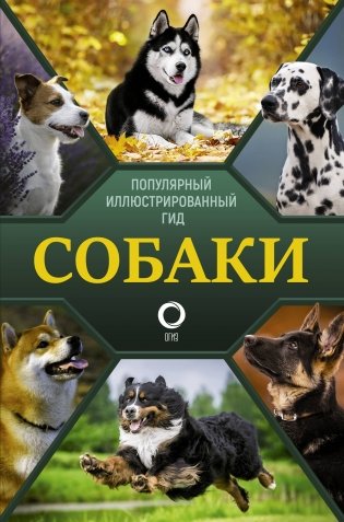 Собаки. Популярный иллюстрированный гид фото книги