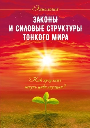Законы и силовые структуры Тонкого мира. Как продлить жизнь цивилизации? фото книги
