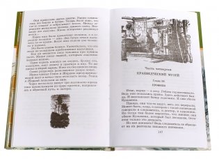 Бронзовая птица фото книги 4