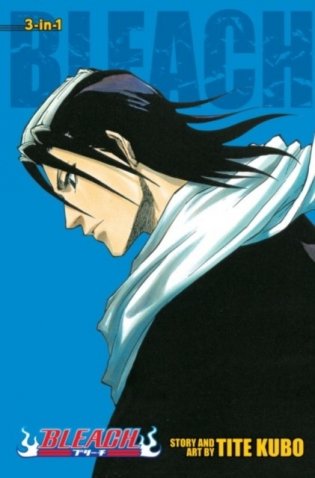 Bleach фото книги