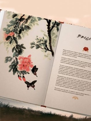 Маньтоу и сливовая ветвь. Кулинарная книга, вдохновленная китайскими новеллами фото книги 5