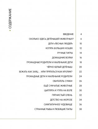 Детёныши животных в натуральную величину фото книги 2