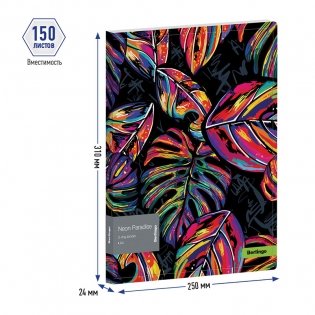 Папка на 2 кольцах Berlingo "Neon Paradise", 24мм, 600мкм, с рисунком, D-кольца, с внутр. карманом фото книги 2