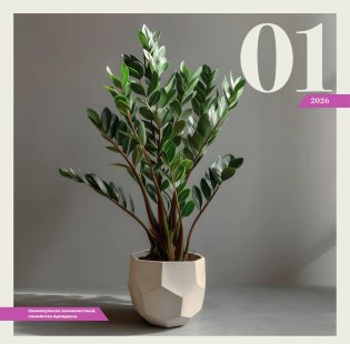 Цветология. Настенный календарь на 2026 год фото книги 2