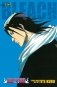 Bleach фото книги маленькое 2