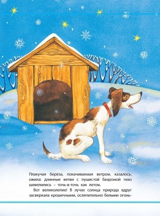 Сказочная сокровищница фото книги 4